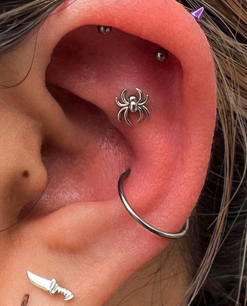 Spider Earring: Identity Body Piercing