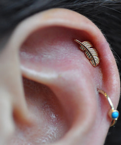 Earlobe/Cartilage