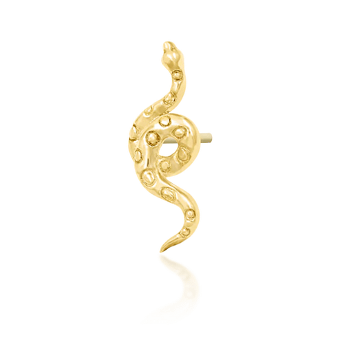 Textured Snake