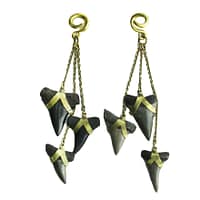 Trifecta Megalodon Weights in Brass