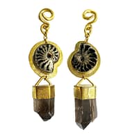 Pyrite Ammonite and Smokey Quartz Brass Weights