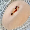 Textured Bezel Garnet Drip Ring Set
