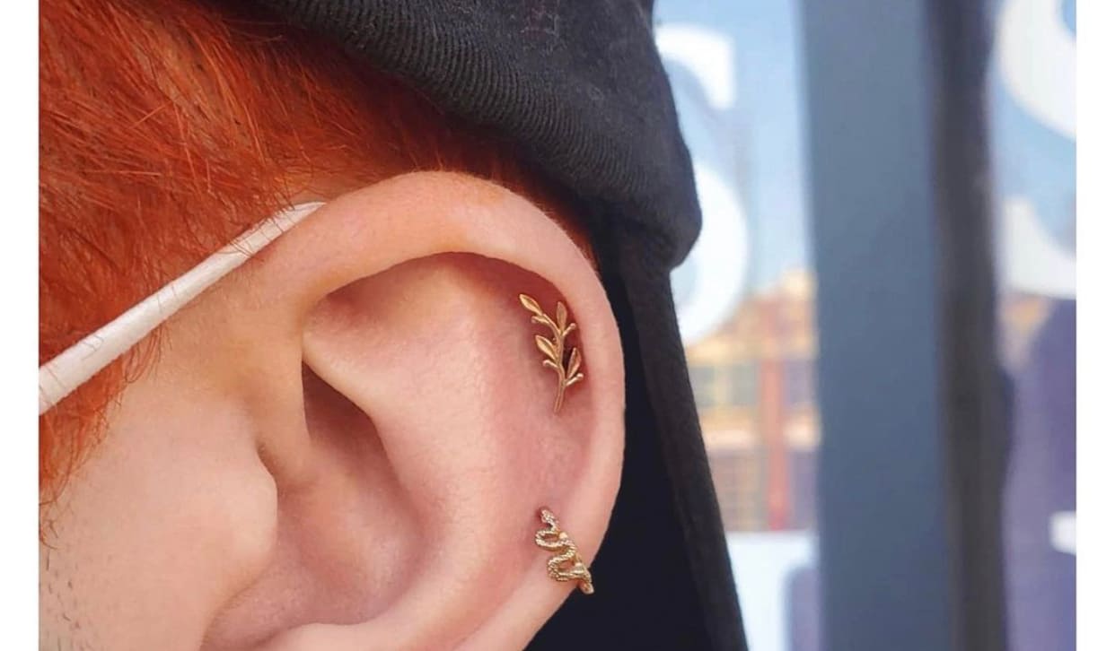 New Body Gems Snake and high lobe to add to the collection! : r/piercing