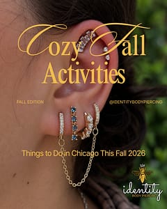 Things to Do in Chicago This Fall 2026: Festivals, Sports, Concerts & More
