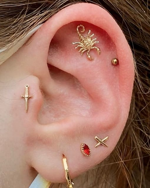 Scorpion End By Tawapa: Identity Body Piercing