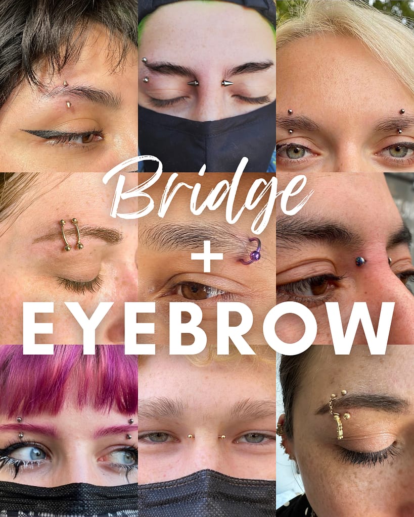 Eyebrow piercings and bridge piercings identity body piercing chicago