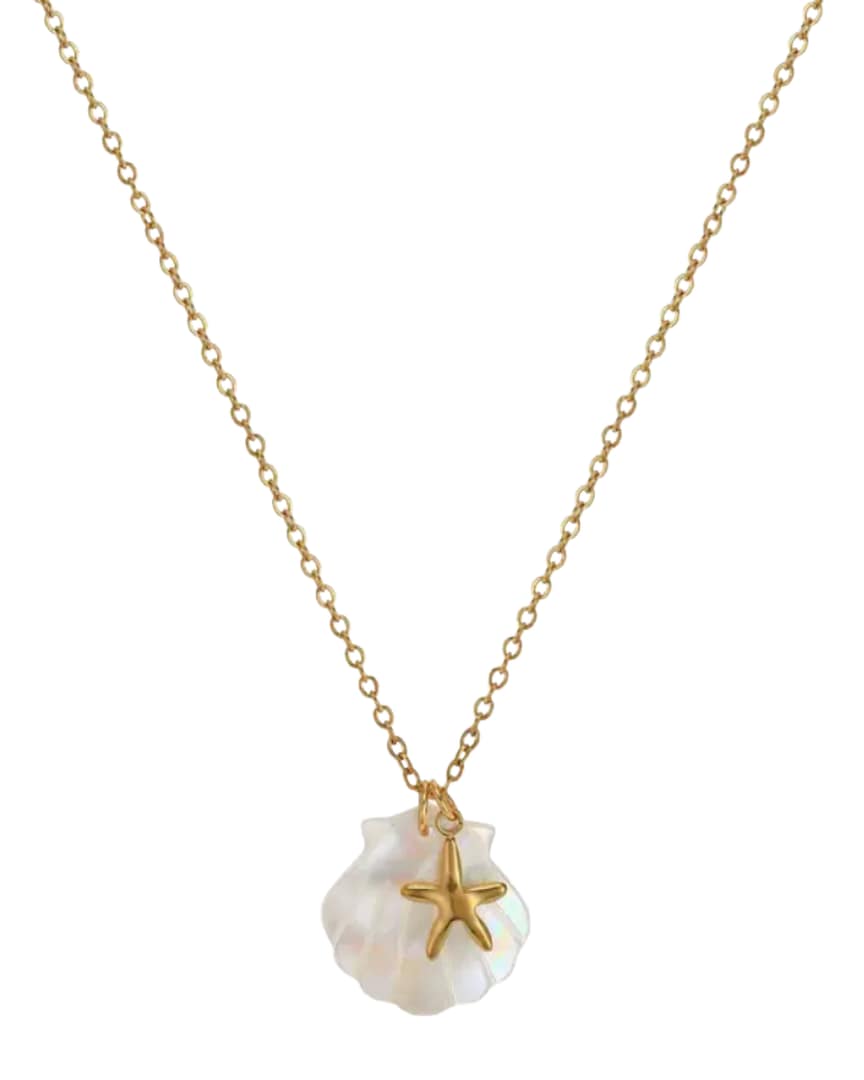 Starfish Shell Necklace Starfish Shell Necklace